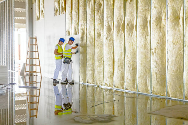 Insulation Air Sealing in Grand Saline, TX